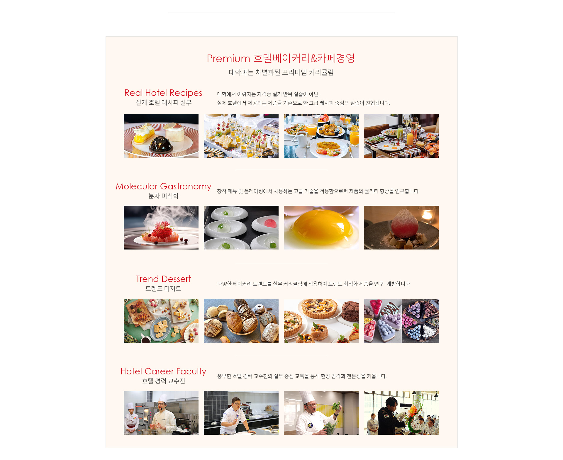 제과제빵학과 선택과목