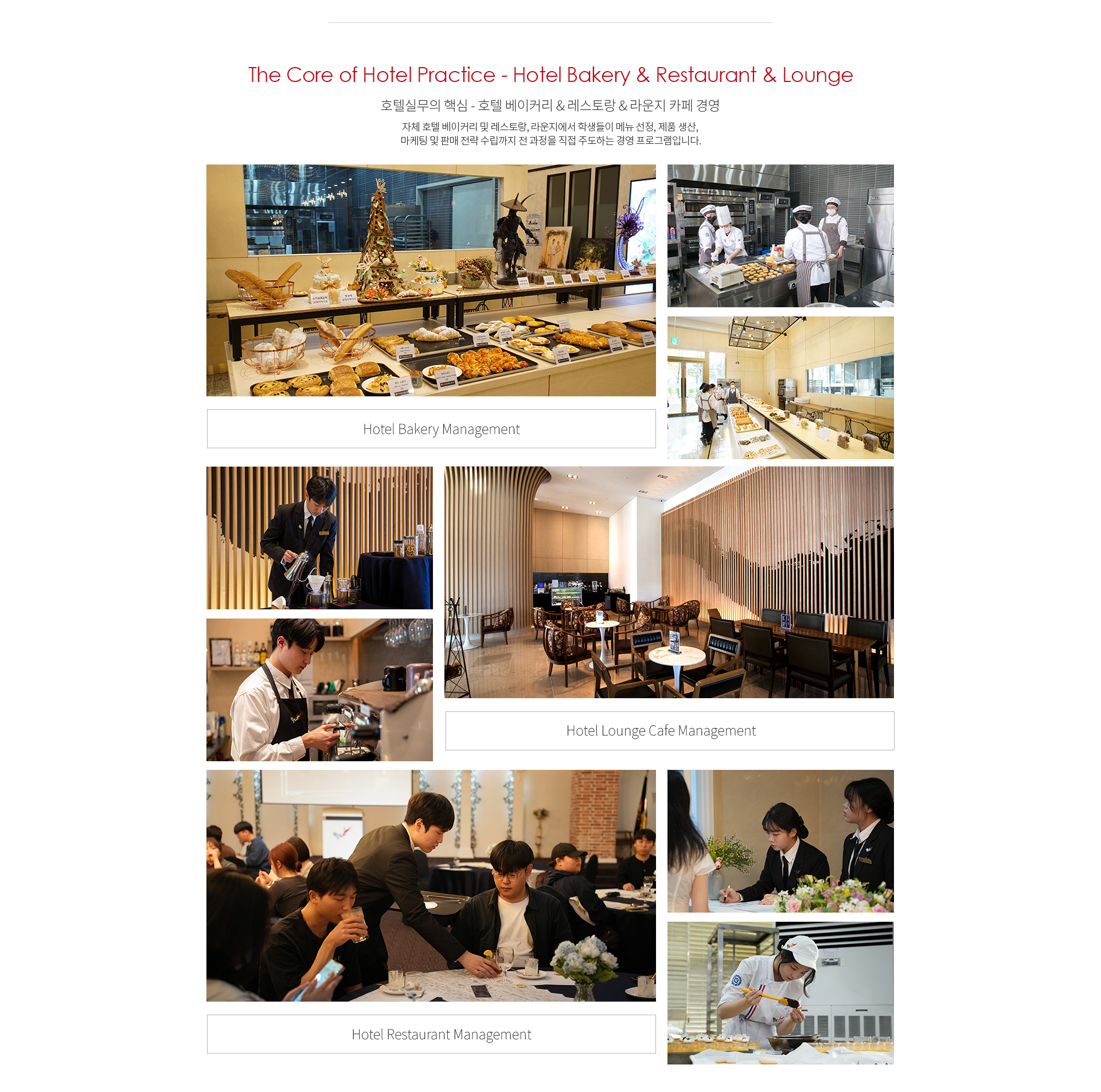 제과제빵학과 선택과목