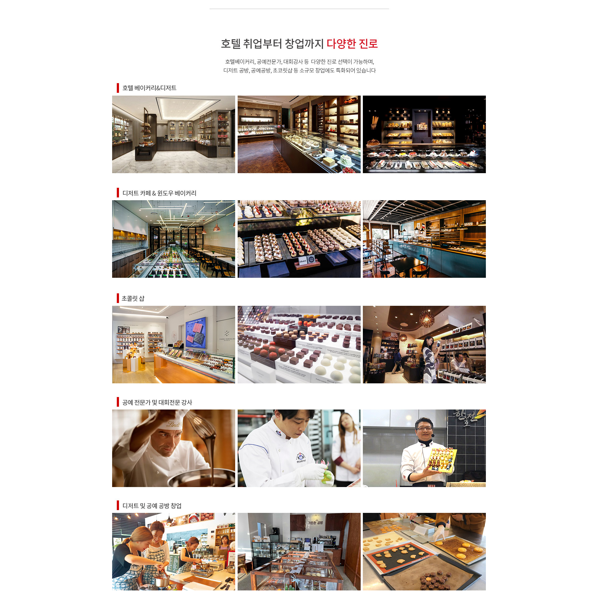 제과제빵학과 커리큘럼