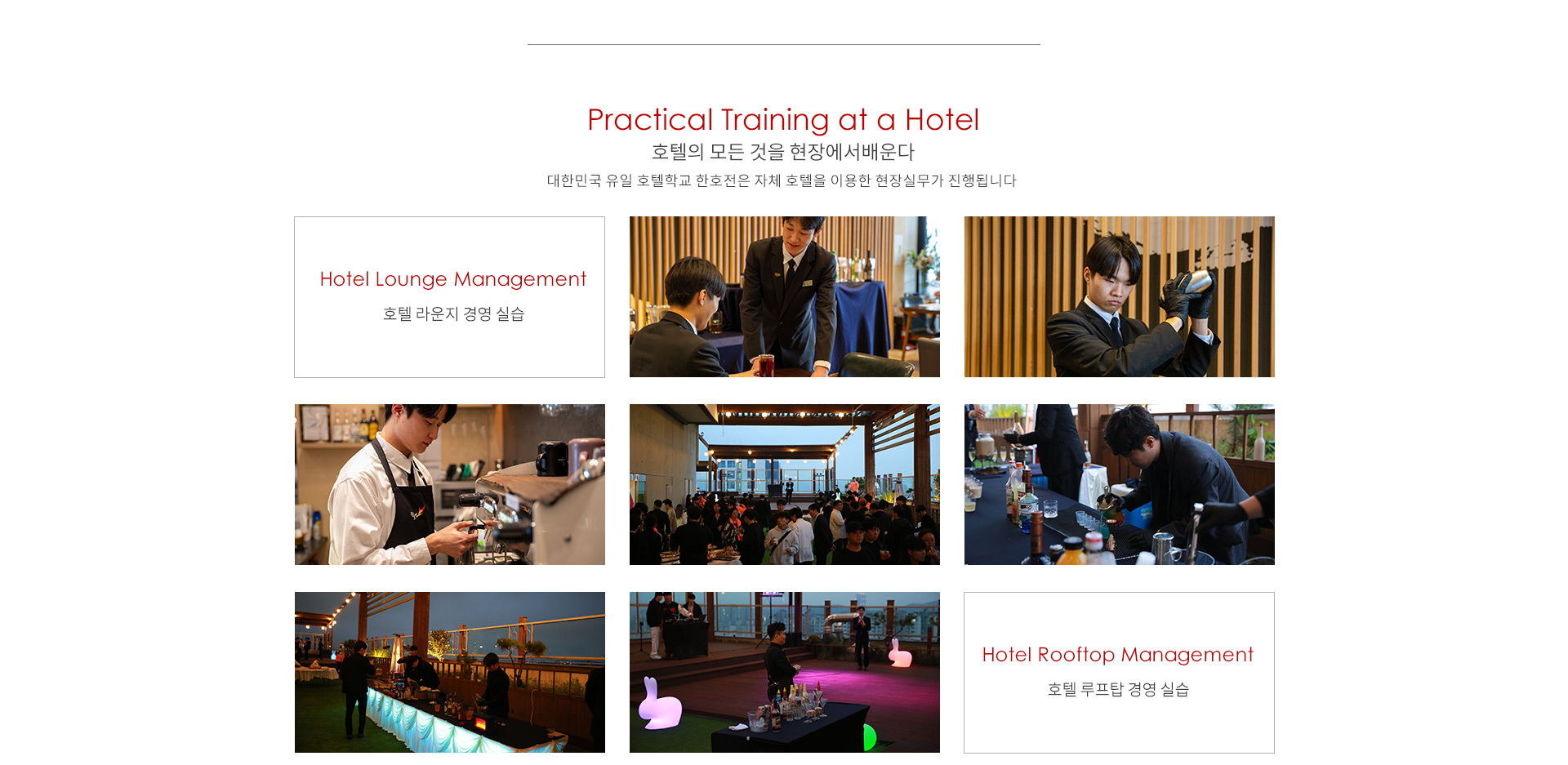 바리스타학과 대학교