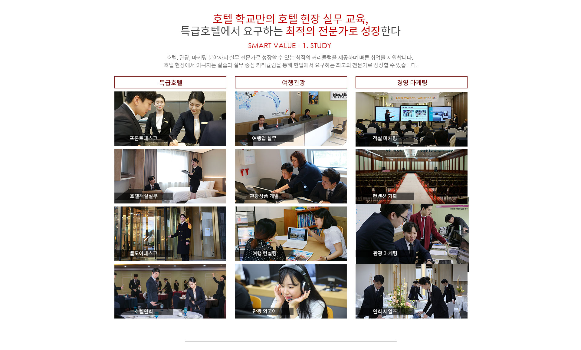 호텔관광경영학과 취업 현황
